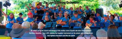 The Lightly Strung Orchestra
